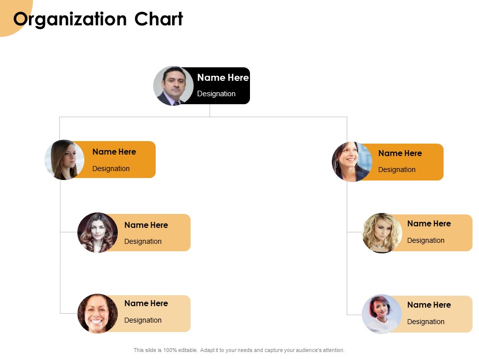 Growth Strategy And Growth Management Implementation Organization Chart Ppt Gallery File Formats PDF
