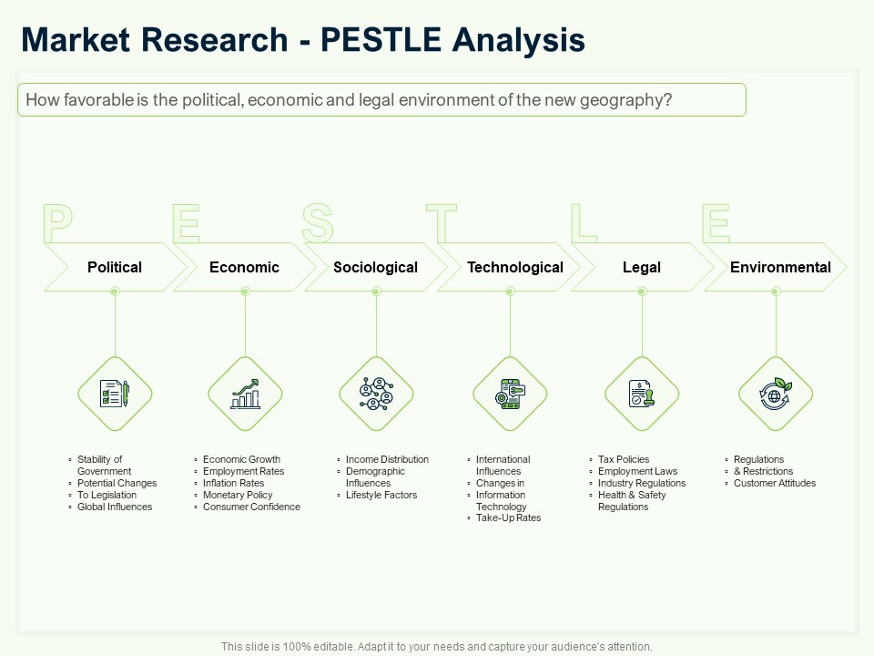 Guide To Overseas Expansion Plan For Corporate Entity Market Research PESTLE Analysis Microsoft PDF