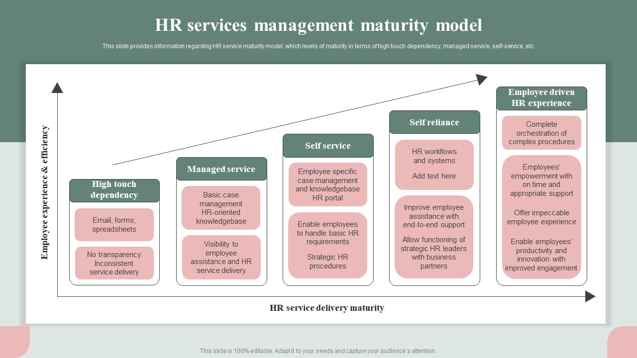 HR Service Excellence Framework HR Services Management Maturity Model Elements PDF