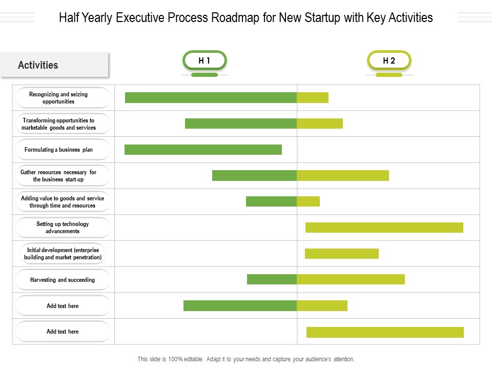 Half Yearly Executive Process Roadmap For New Startup With Key Activities Summary