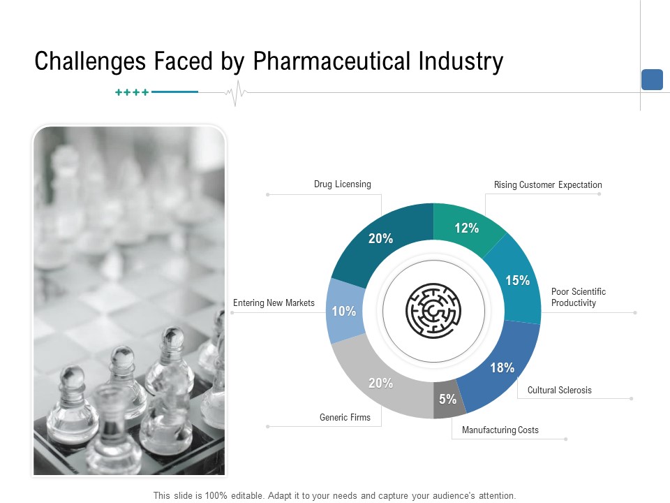 Health Centre Management Business Plan Challenges Faced By Pharmaceutical Industry Template PDF