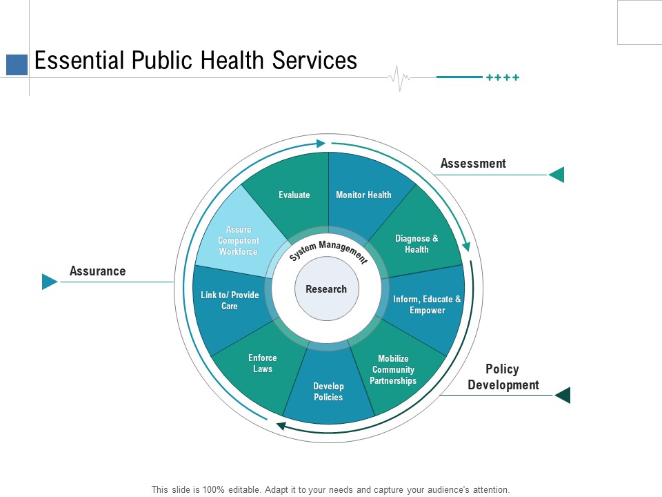 Health Centre Management Business Plan Essential Public Health Services Ppt Portfolio Graphics Example PDF