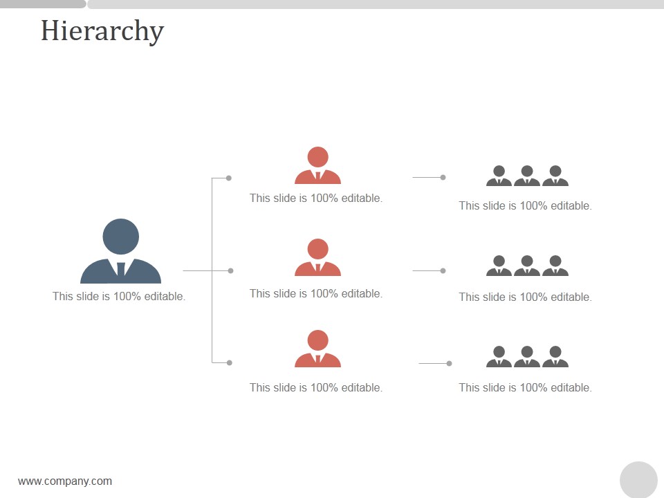 Hierarchy Ppt PowerPoint Presentation Designs