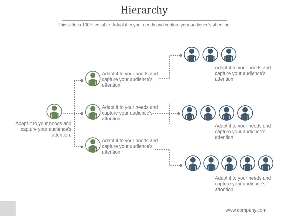 Hierarchy Ppt PowerPoint Presentation Layout