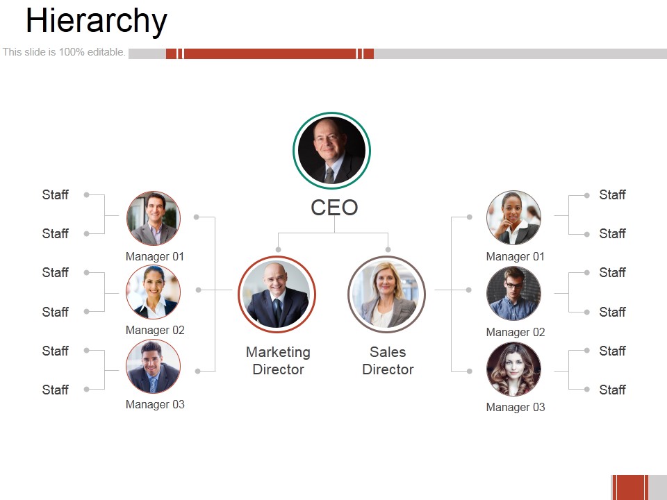 Hierarchy Ppt PowerPoint Presentation Show Example Introduction