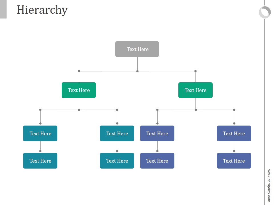 Hierarchy Ppt PowerPoint Presentation Templates