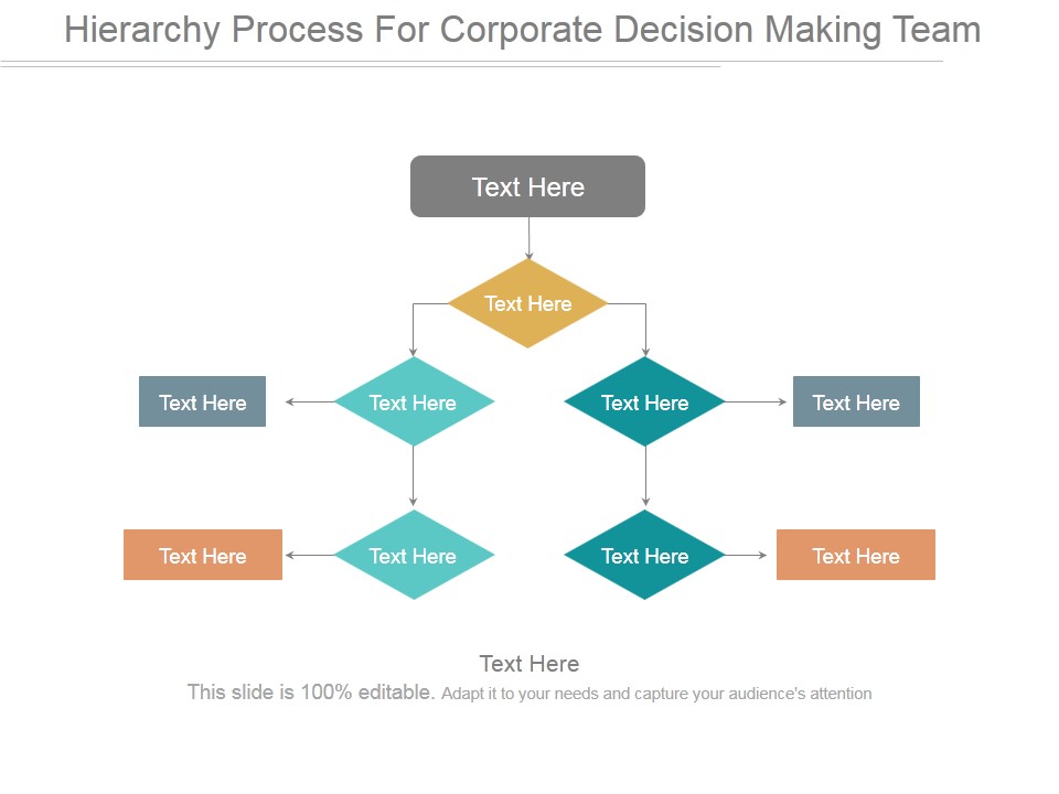 Hierarchy Process For Corporate Decision Making Team Ppt PowerPoint Presentation Tips