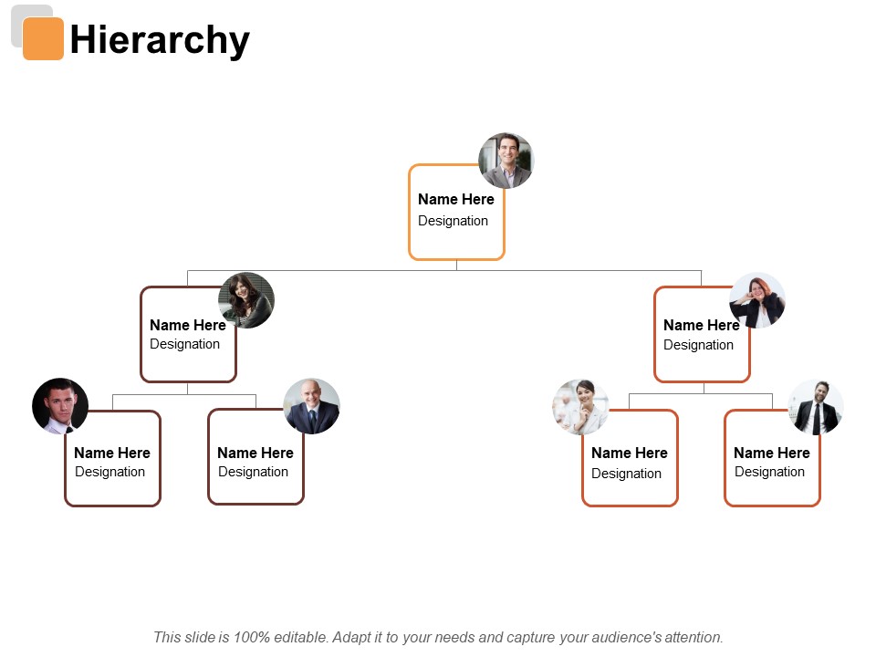 Hierarchy Risk Estimator Ppt PowerPoint Presentation File Slide