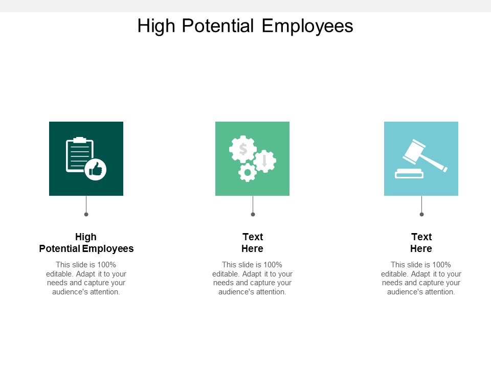High Potential Employees Ppt PowerPoint Presentation Show Background Cpb