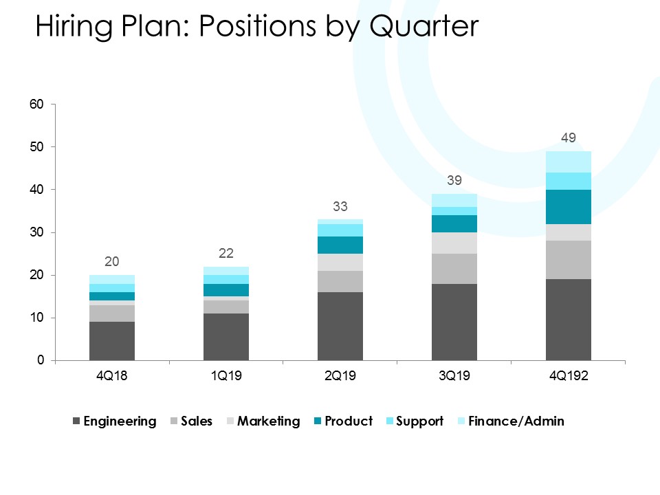 Hiring Plan Positions By Quarter Ppt PowerPoint Presentation Slides Styles