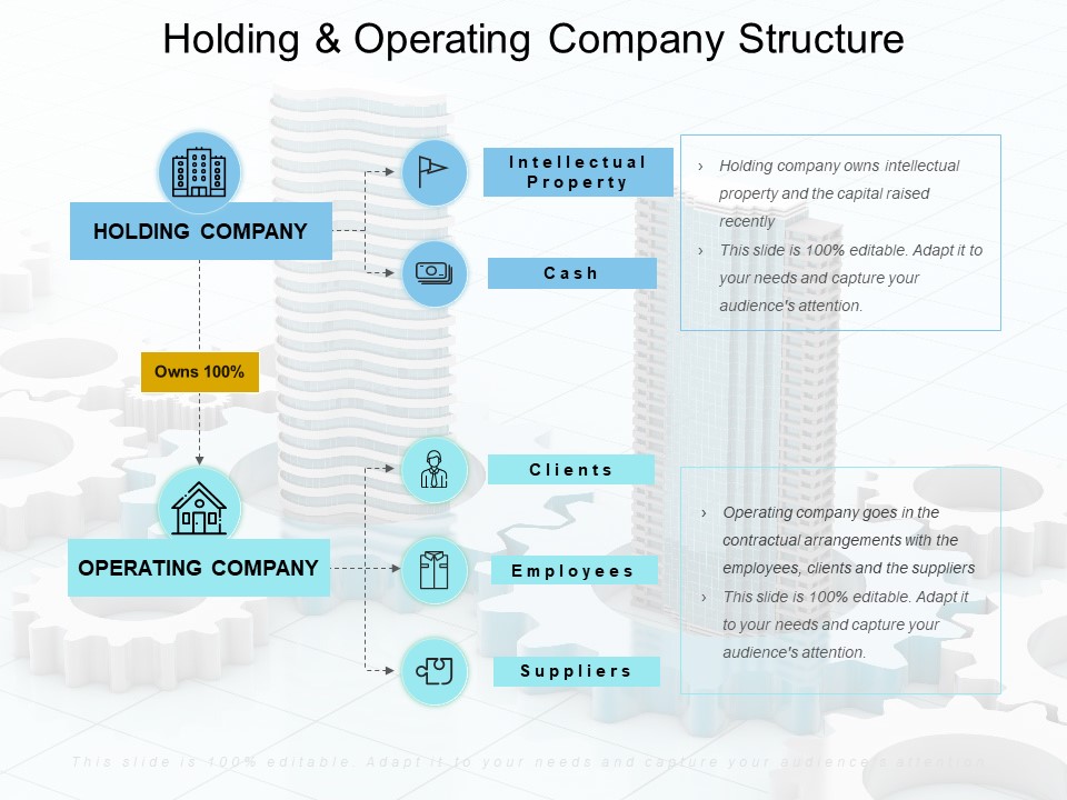 Holding And Operating Company Structure Ppt PowerPoint Presentation Layouts Slide