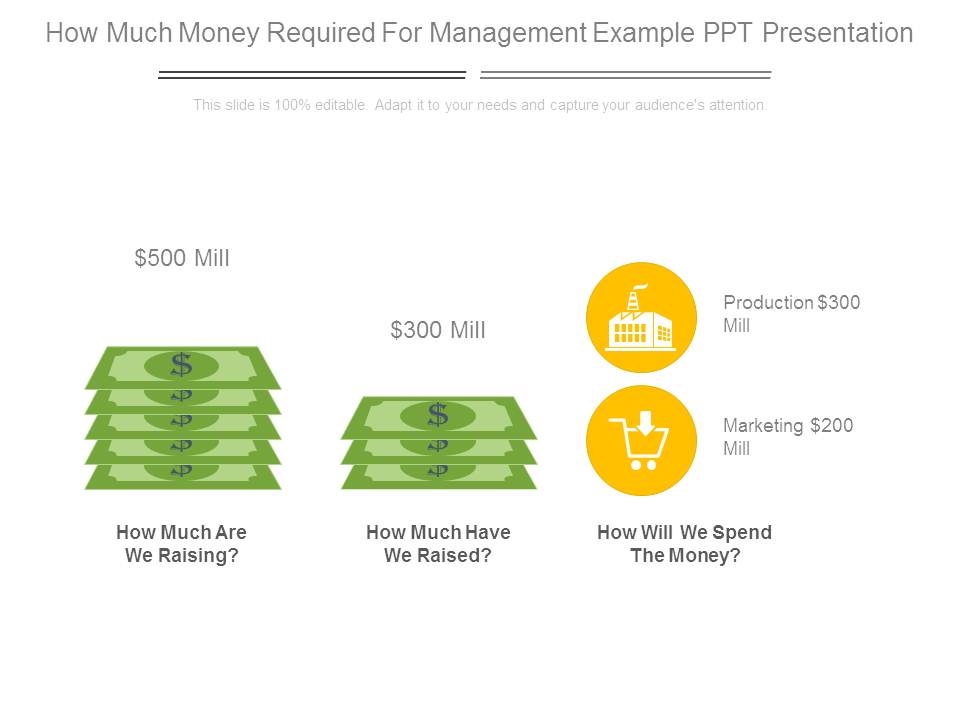 How Much Money Required For Management Example Ppt Presentation