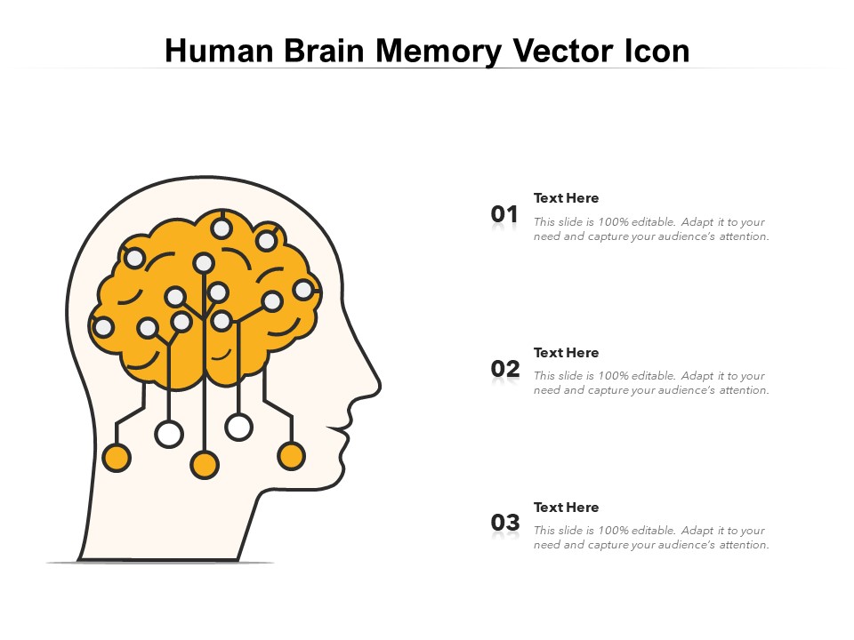 Human Brain Memory Vector Icon Ppt PowerPoint Presentation Summary Slides PDF
