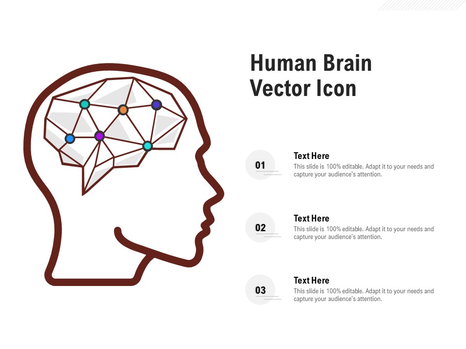 Human Brain Vector Icon Ppt PowerPoint Presentation Styles Aids