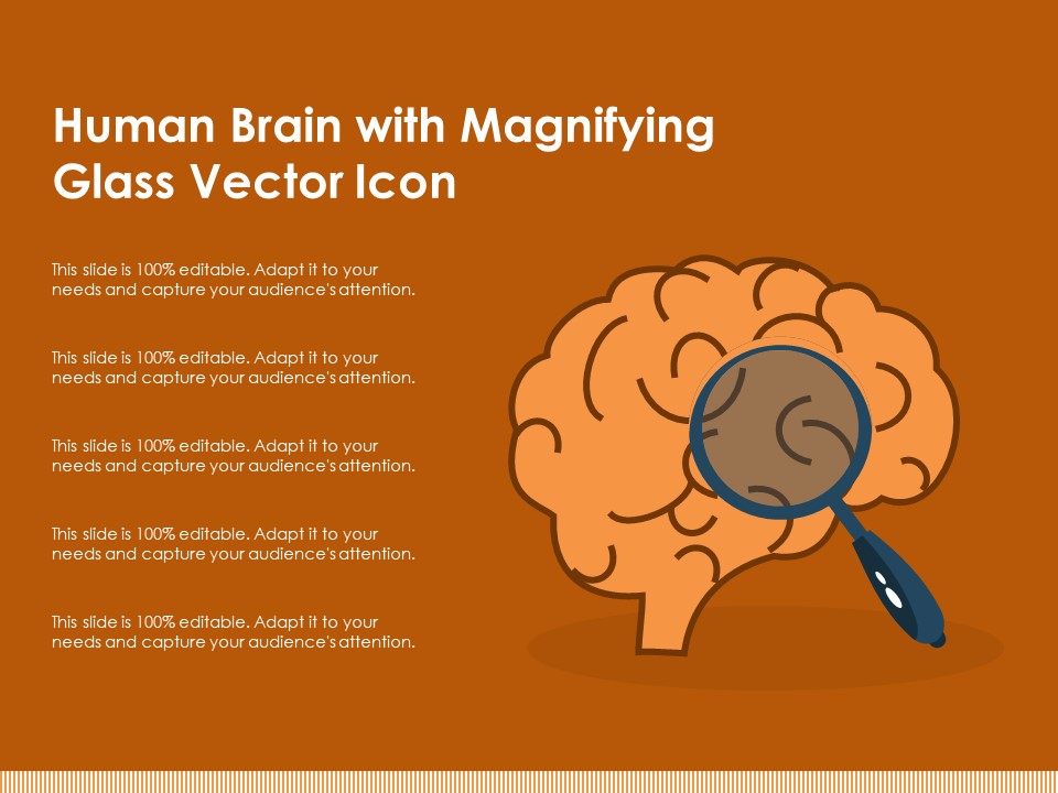 Human Brain With Magnifying Glass Vector Icon Ppt PowerPoint Presentation Summary Example PDF