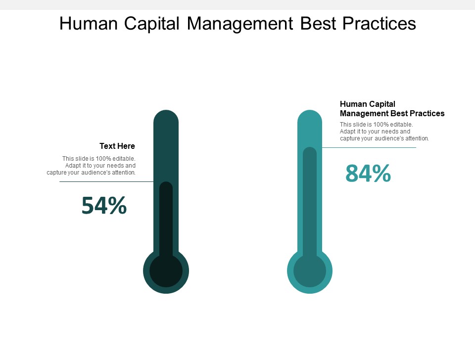 Human Capital Management Best Practices Ppt Powerpoint Presentation Slides Clipart Cpb