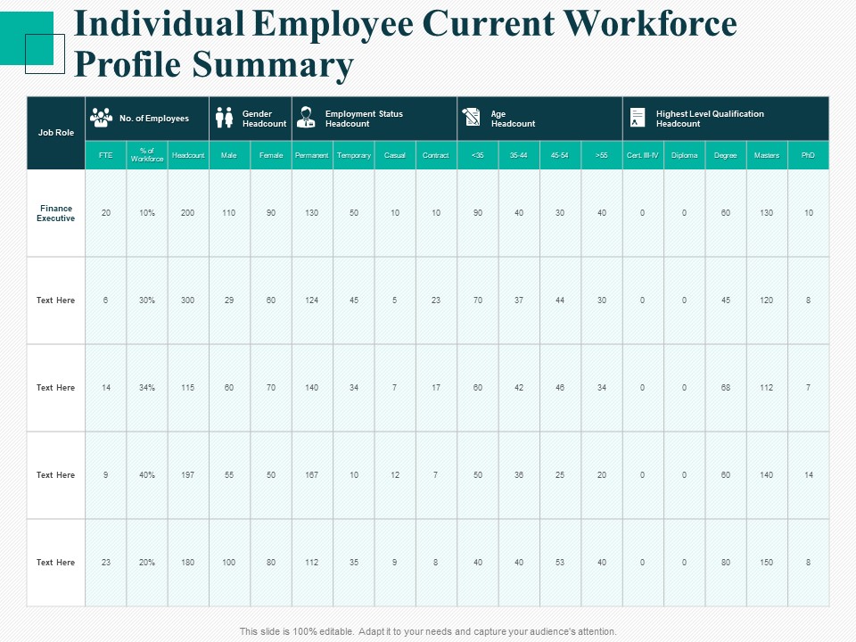 Human Capital Management Procedure Individual Employee Current Workforce Profile Summary Inspiration PDF