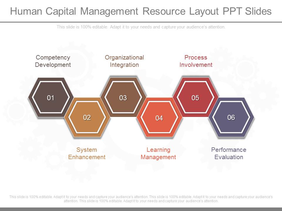 Human Capital Management Resource Layout Ppt Slides