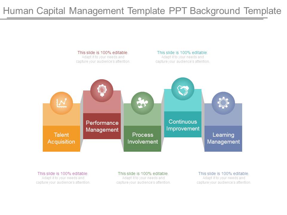 Human Capital Management Template Ppt Background Template