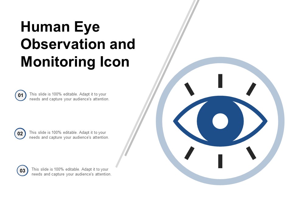 Human Eye Observation And Monitoring Icon Ppt Powerpoint Presentation Slides Background Designs
