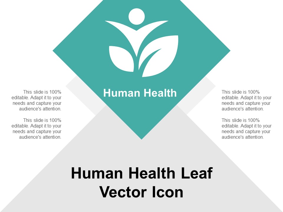 Human Health Leaf Vector Icon Ppt Powerpoint Presentation Gallery Example