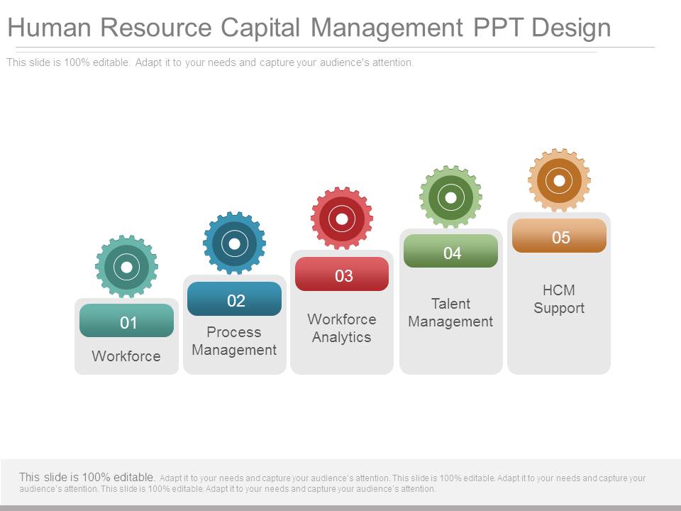 Human Resource Capital Management Ppt Design
