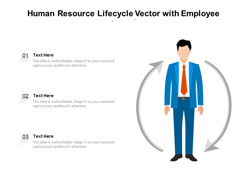 Human Resource Lifecycle Vector With Employee Ppt PowerPoint Presentation Icon Diagrams PDF