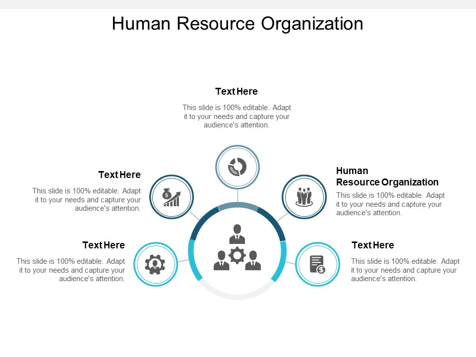 Human Resource Organization Ppt PowerPoint Presentation Layouts Tips Cpb
