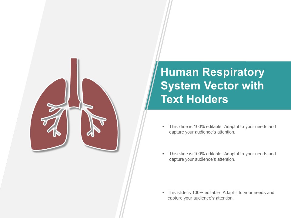 Human Respiratory System Vector With Text Holders Ppt PowerPoint Presentation Gallery Ideas