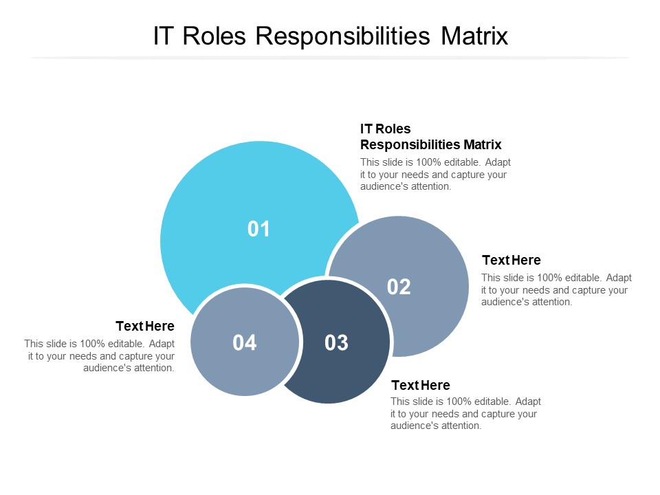 IT Roles Responsibilities Matrix Ppt PowerPoint Presentation Summary Diagrams Cpb Pdf