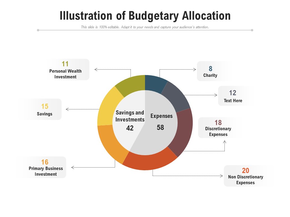 Illustration Of Budgetary Allocation Ppt PowerPoint Presentation Gallery Master Slide PDF