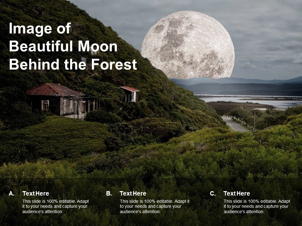 Image Of Beautiful Moon Behind The Forest Ppt PowerPoint Presentation Show Graphic Images