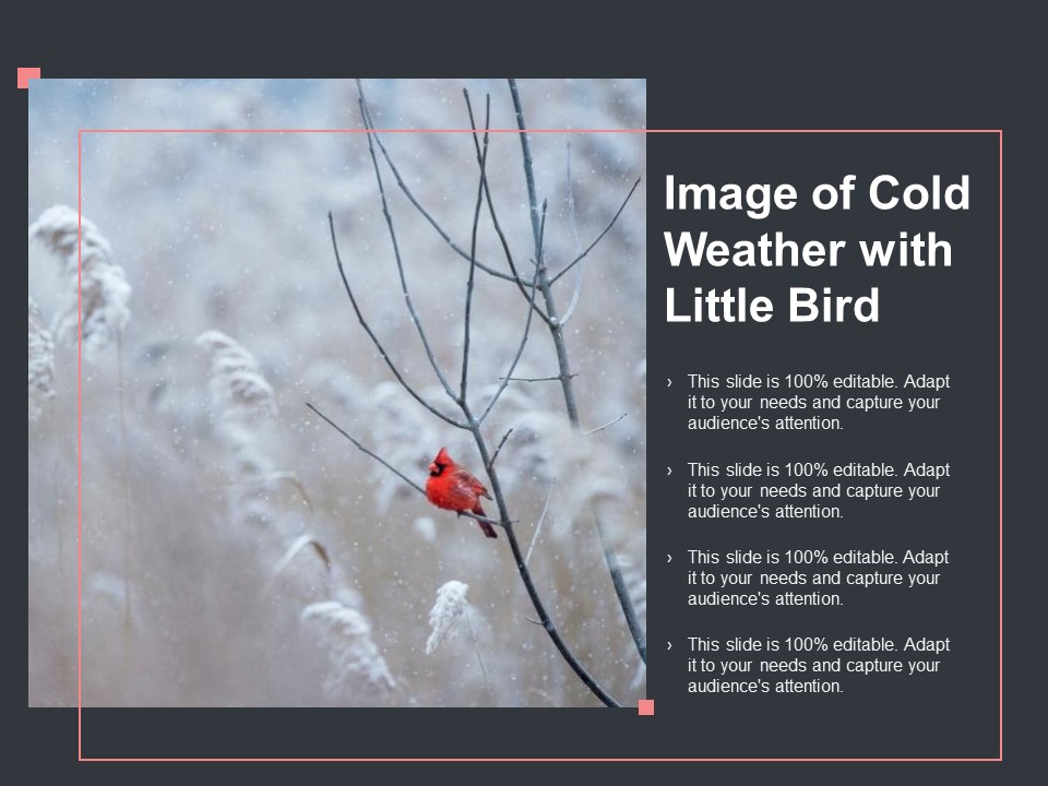 Image Of Cold Weather With Little Bird Ppt PowerPoint Presentation Gallery Infographics