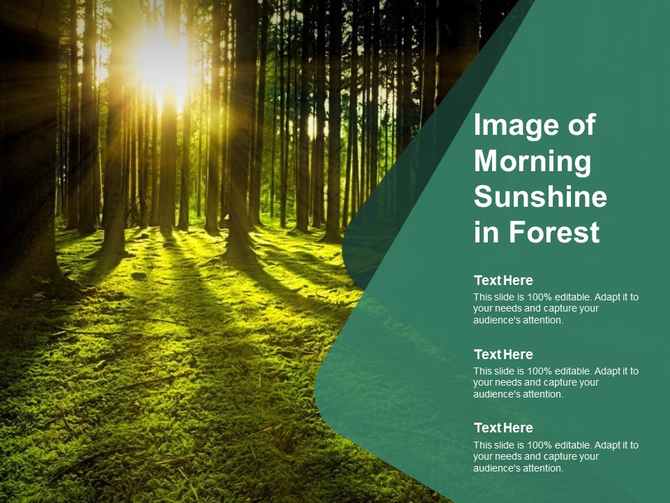 Image Of Morning Sunshine In Forest Ppt PowerPoint Presentation Inspiration Slide Download