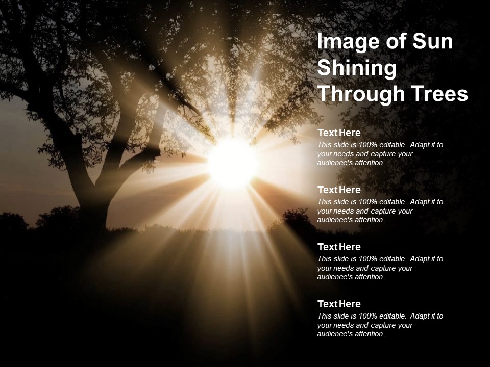 Image Of Sun Shining Through Trees Ppt PowerPoint Presentation Infographic Template Graphics