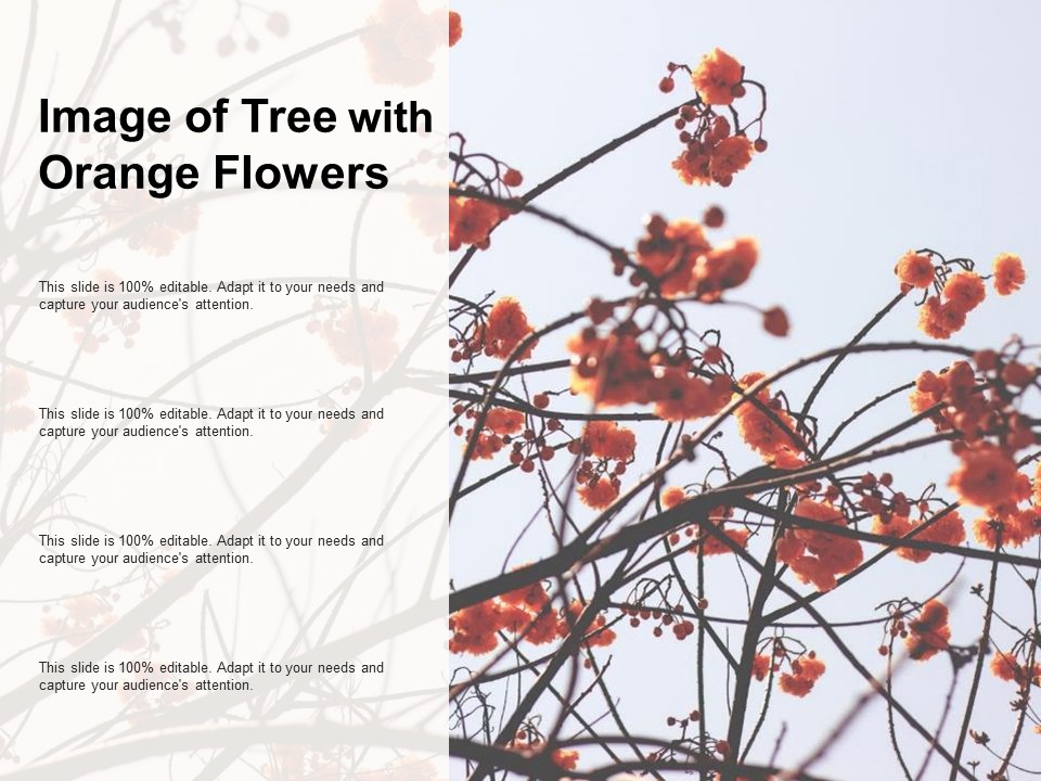 Image Of Tree With Orange Flowers Ppt PowerPoint Presentation Outline Rules
