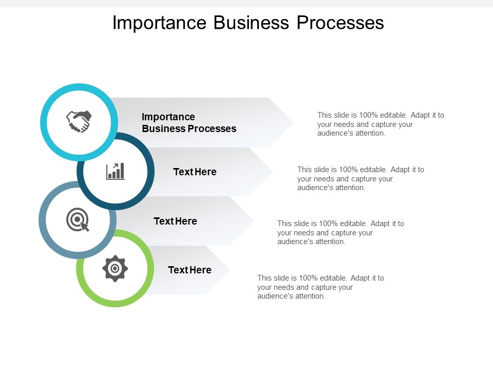 Importance Business Processes Ppt PowerPoint Presentation Outline Gridlines Cpb
