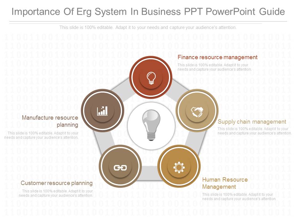 Importance Of Erg System In Business Ppt Powerpoint Guide