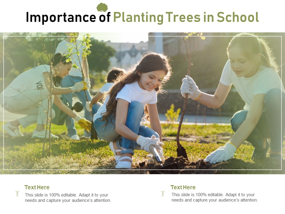 Importance Of Planting Trees In School Ppt PowerPoint Presentation Icon Layout