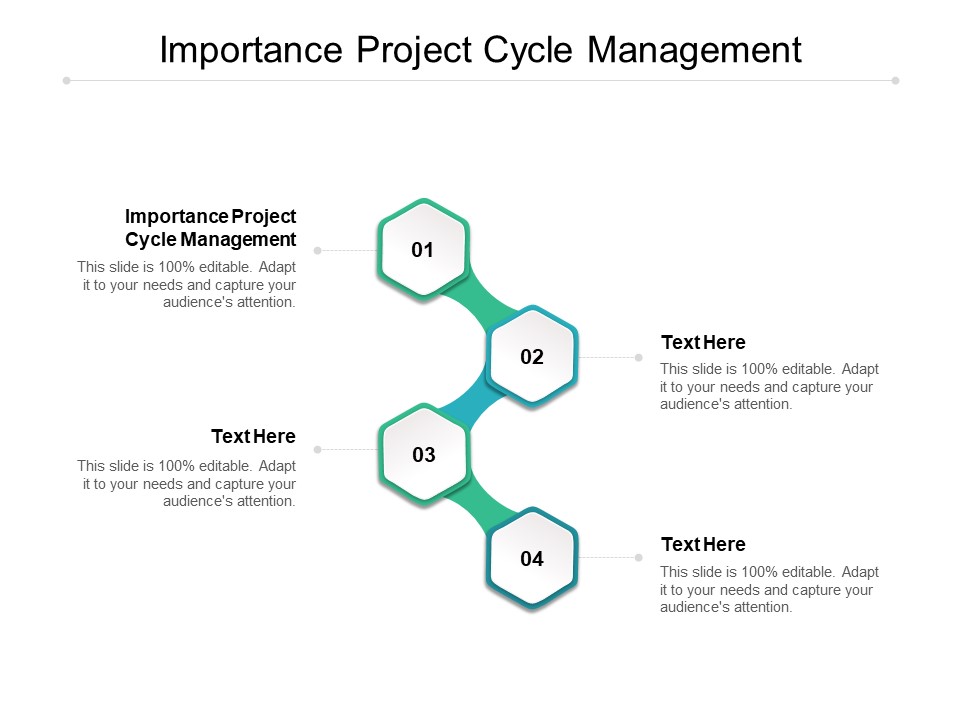 Importance Project Cycle Management Ppt PowerPoint Presentation Pictures Influencers Cpb