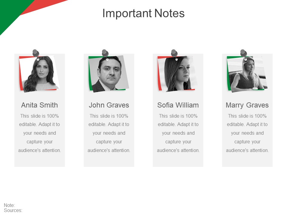 Important Notes Ppt PowerPoint Presentation Portfolio Infographics
