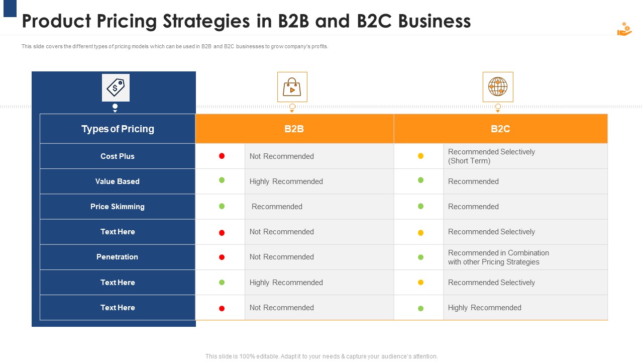 Income Management Tool Product Pricing Strategies In B2B And B2C Business Designs PDF