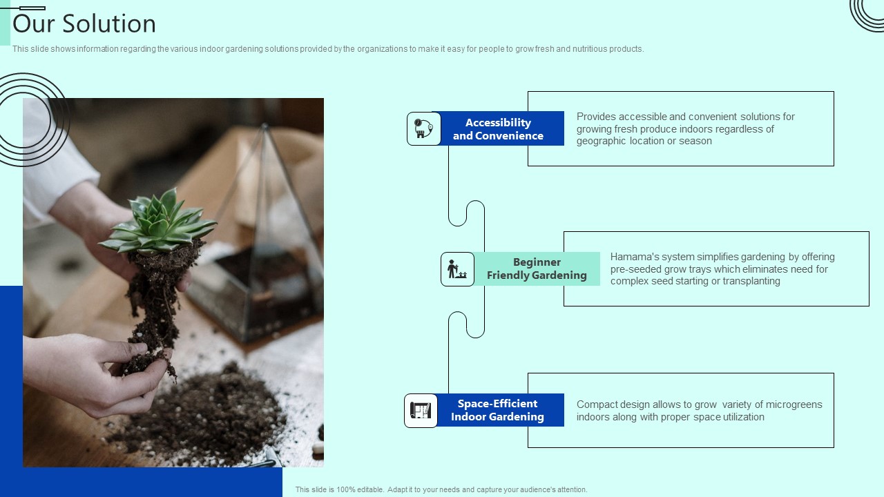 Indoor Horticulture Investor Fundraising Pitch Deck Our Solution Information PDF