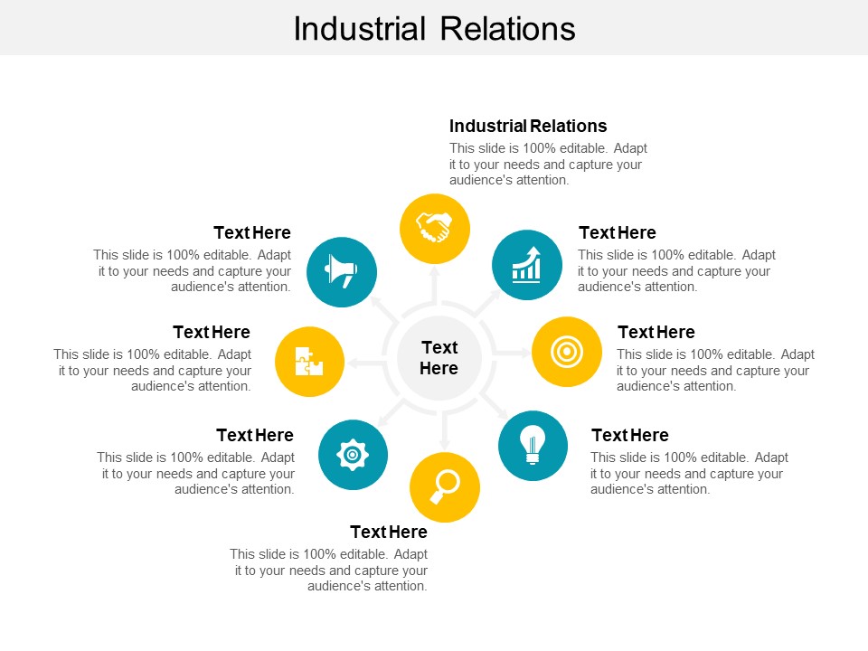 Industrial Relations Ppt PowerPoint Presentation Pictures Gallery Cpb