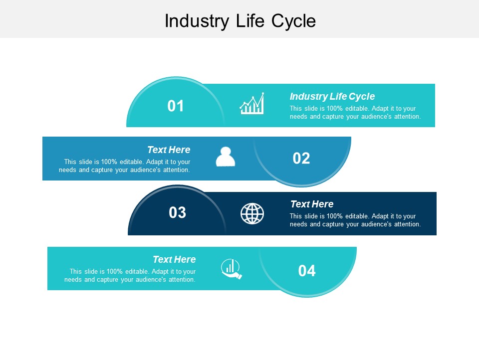 Industry Life Cycle Ppt PowerPoint Presentation File Topics Cpb