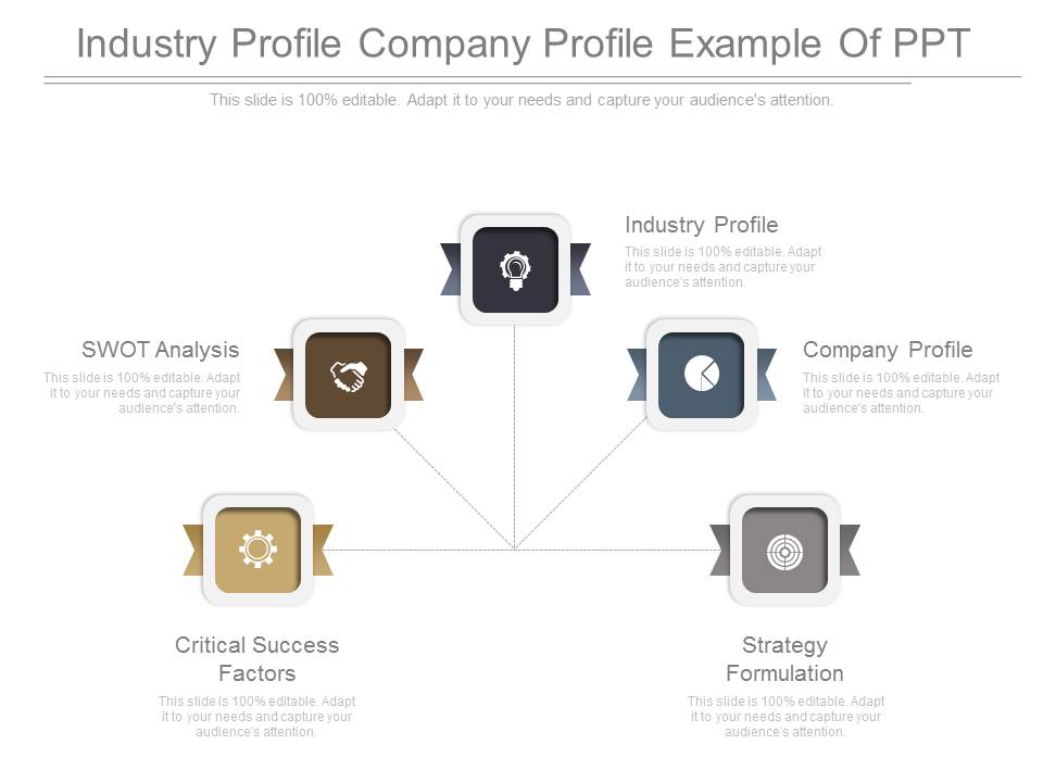 Industry Profile Company Profile Example Of Ppt