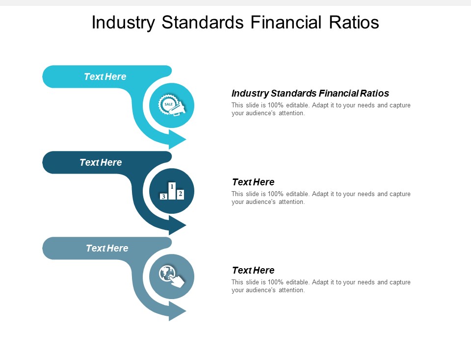 Industry Standards Financial Ratios Ppt PowerPoint Presentation Portfolio Images Cpb