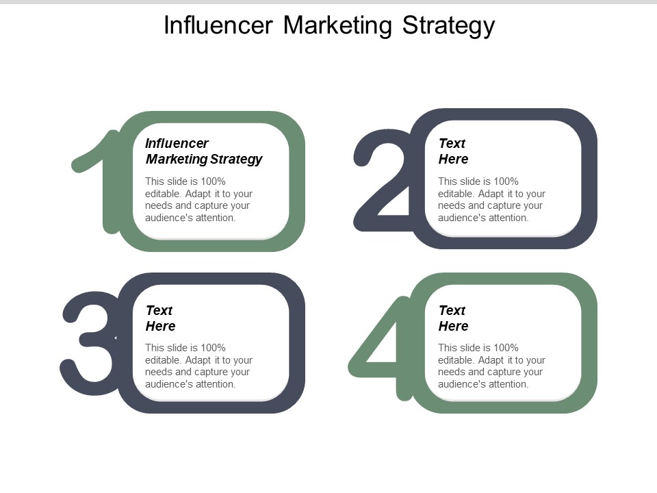 Influencer Marketing Strategy Ppt PowerPoint Presentation Gallery Skills Cpb