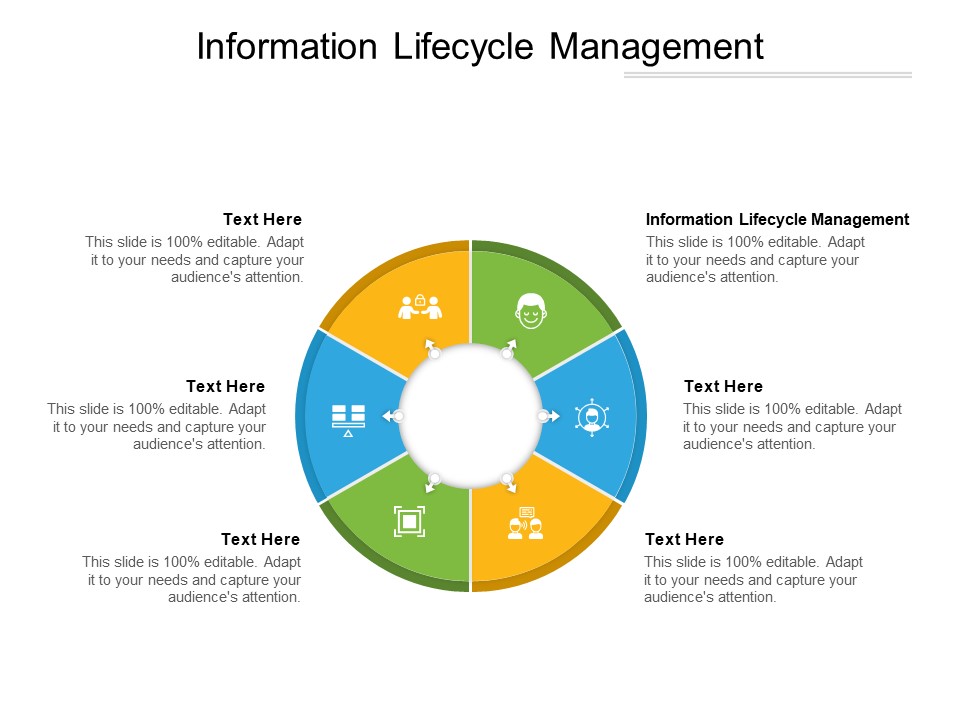 Information Lifecycle Management Ppt PowerPoint Presentation Icon Introduction Cpb Pdf