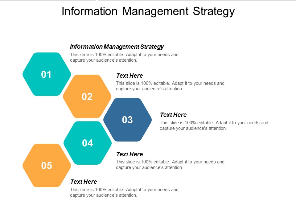 Information Management Strategy Ppt PowerPoint Presentation Portfolio Introduction Cpb